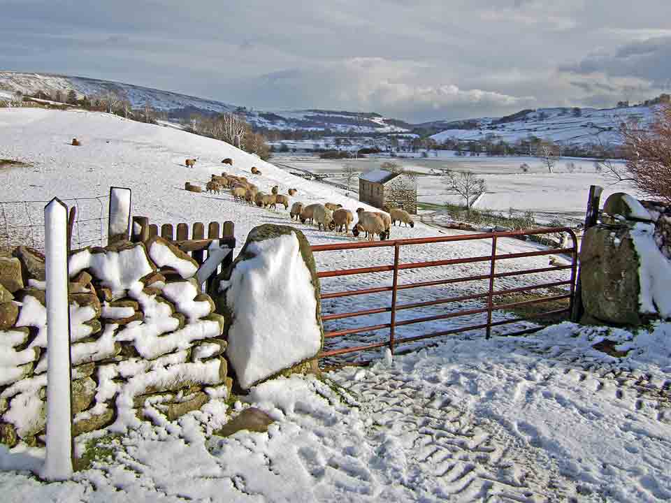 Annual Exhibition 2020 - The Hall Cup (Best Intermediate Class PDI) - "Snow, near Reeth" by Richard Collier