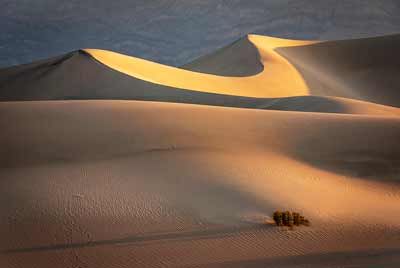 2104-ncpf-sheila-coates-Dawn-Light-on-the-Dunes