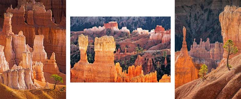 2202-Millennium-Bryce-Canyon-dc
