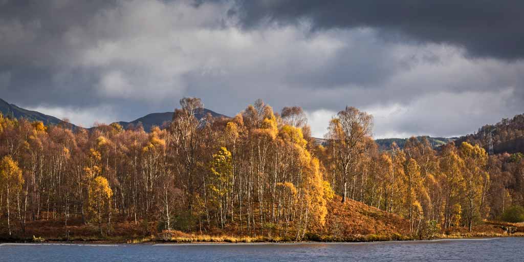Autumn-Loch-Tummel by Sheila Coates