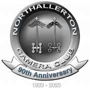 90th Anniversary Logo