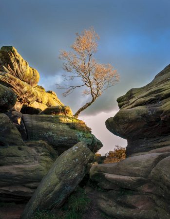 Stephen Byard - Annual Exhibition PDI Pictorial - 3rd Place - An Autumnal Leaning