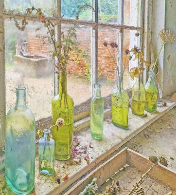 Trish Newey King - Annual Exhibition 2023 Pictorial Prints - 2nd Place - The Potting Shed Window
